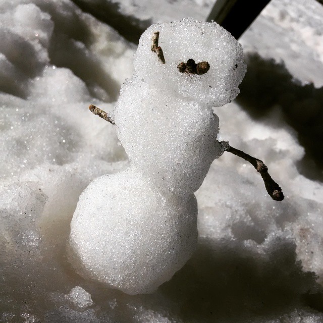 Found this little guy in the Base Area @SunriseParkResort -…