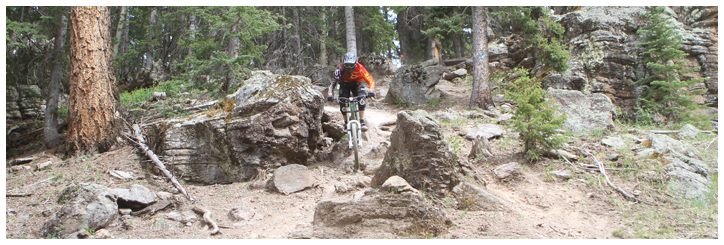 Sunrise Mountain Biking