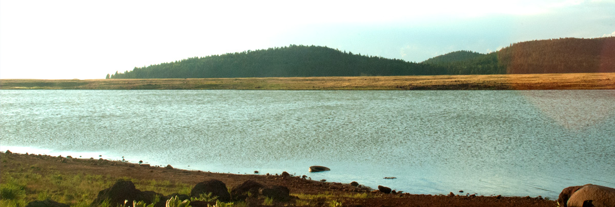 Sunrise Park Resort Lake